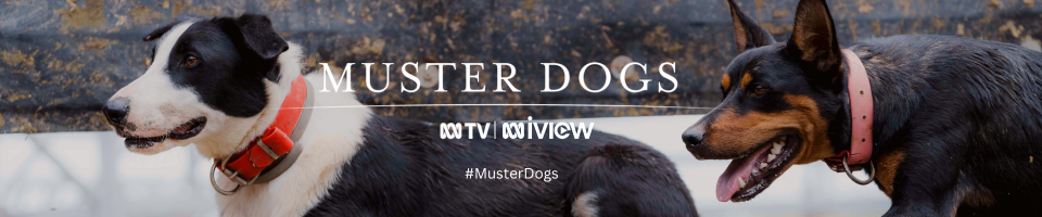 Muster Dogs New Series