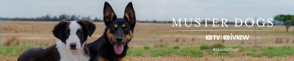 Muster Dogs 2025